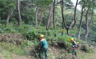9일부터 산림경영컨설팅서비스