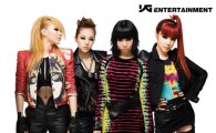 2NE1 Japan career off to favorable start