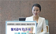 신한금융투자, 원금보장형 등 ELS 11종 판매