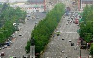 [2011국감] 도시 숲 한해 여의도면적 6배 사라져 