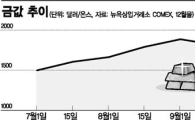금값 급제동에 거꾸러진 금 펀드