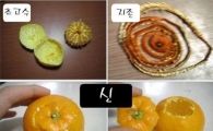 귤까기 등급…"당신의 레벨은 어느 단계입니까?"