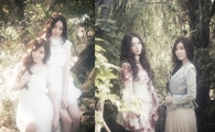 Davichi, INFINITE shine atop televised music programs 