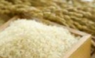 쌀 생산량 31년만에 최저..쌀값 향방은?