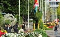 [포토] '국화페스티벌 화려한 개막'