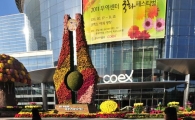 [포토] 강남 한복판에서 즐기는 국화페스티벌