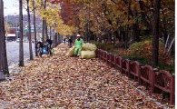 강동구, 낙엽을 유기질 퇴비로 친환경 농가에 공급