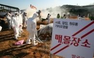 "백신놨는데.."…정부, 구제역 주의보 발령 왜?