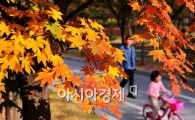 [포토] '가을 달리는 저전거'
