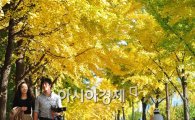 [포토] 가을 데이트 즐기는 연인
