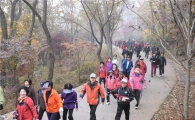 중랑구, 구민 한마음 걷기대회 열어 