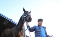 [주말레이싱] 국산 경주마 20년만에 첫 수출