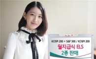 하나대투증권, 월지급식 ELS 2종 18일까지 모집