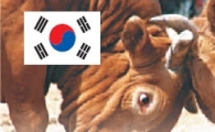 '캐나다산 쇠고기' 무역분쟁 재개되나