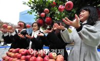 [포토] 서울시민과 함께하는 청송사과축제