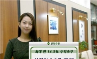 신영證, 안정성 강화한 지수연계 ELS 2종 판매
