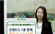 신영證, 지수연계 ELS 1종 판매
