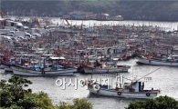 자국해상 불법조업에도 관대한 한국