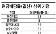 우울한 연말, 그래도 배당이 있다