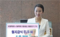 신한금융투자, 월지급식 등 ELS 6종 판매