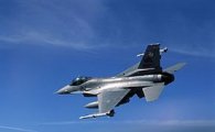 "최강 전투기 'F-16' 한꺼번에 산단 나라가"