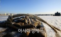 [포토] 얼기 시작한 한강