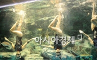 [포토] '물 속의 미녀들'
