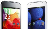 LG U+, 올해 첫 LTE폰 '베가LTE EX' 출시..80만원대