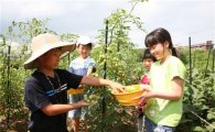 강동구, 도시농업으로 먹거리 안전 보장