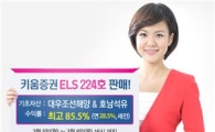 키움증권, 연 최고 28.5% 수익 ELS 224호 판매