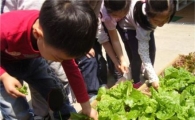 서울시 도시농업 민간단체 선정… 최대 2000만원 지원