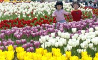 花사한 테마파크…봄 축제 놀라워라