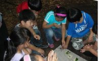 강북구,  숲길여행과 자연생태체험교실 운영