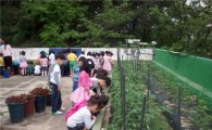 강북구, 마을공동체 도시농업 사업 추진 