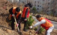 SK텔레콤 직원들 관악구 나무심기 자원봉사 활동 펼쳐