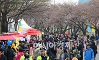 [포토] 벚꽃보다 많은 상춘객