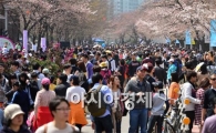 [포토] 벚꽃은 덜 폈지만 즐거운 시민들