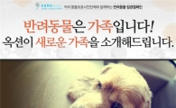 "유기동물, 가족을 찾아요" 옥션, 반려동물 입양 캠페인