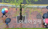 [포토] '오늘은 비'