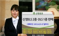 신영證, ELS 및 DLS(위안화 절상 투자) 3종 판매 