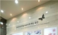 동화자연마루, 친환경 벽재 '디자인월 하이그로시' 출시