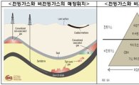 '셰일가스 시대' 대비한다..민관 합동 TF팀 발족