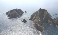 독도 천연보호구역 내 식물 공동조사