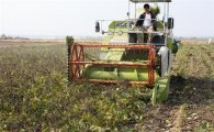 [수입농산물 밀착포커스]중국산 콩·팥·녹두 가격도 줄줄이 오름세