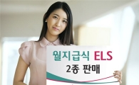 하나대투證, 월지급식 ELS 2종 모집