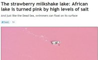 딸기우유 색깔 호수…"여기서 수영하면 딸기우유 물이 들까?"