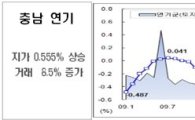 충남 연기군, 3개월째 전국 땅값 상승률 1위