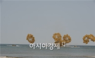 해병대의 해안양륙 군수지원훈련