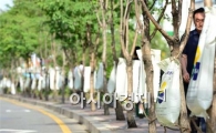[포토] 물 마시는 이팝나무