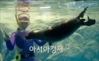 [포토] "63씨월드로 신비의 '바이칼물범' 보려오세요"